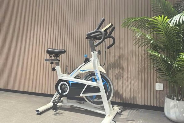 A stationary exercise bike against a wall with a potted plant nearby.