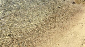 Una vista despejada de una playa con piedras y rocas visibles en la orilla.
