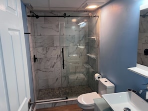 Shower, hair dryer, shampoo