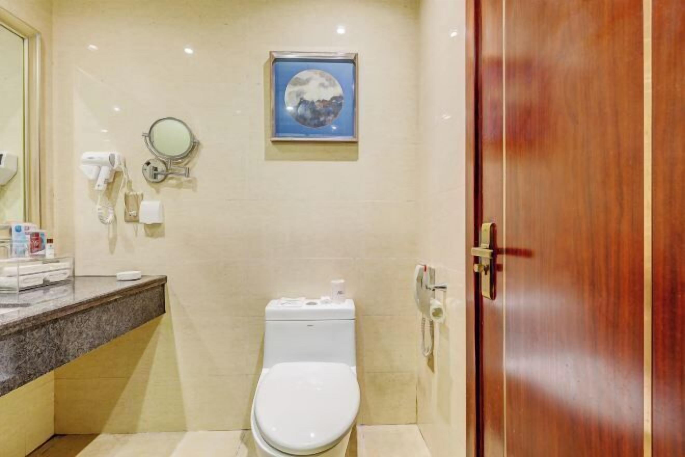 Een badkamer met toilet, een wastafel met toiletartikelen, een spiegel en een lijst met een afbeelding aan de muur.