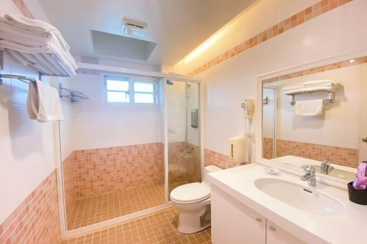 A bathroom with a glass shower enclosure, a white toilet, a sink with a mirror, and towels on a rack.