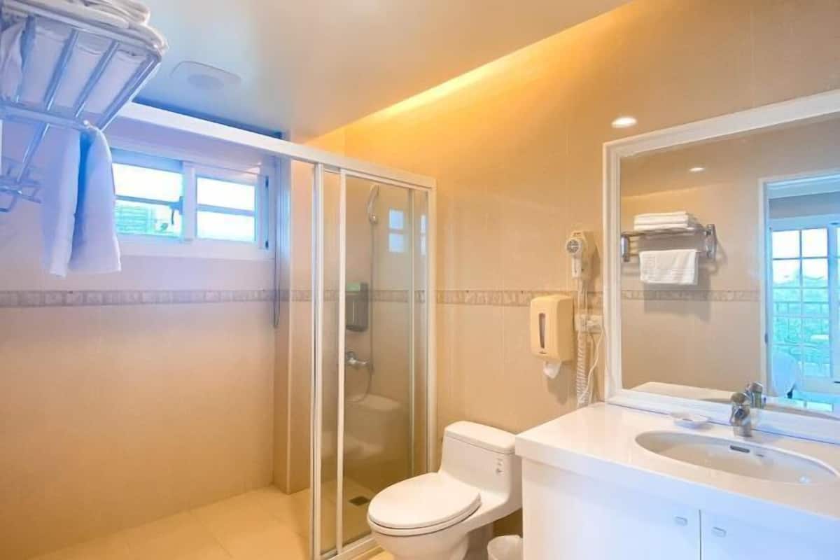 A bathroom with a glass-enclosed shower, a toilet, and a sink with a mirror.