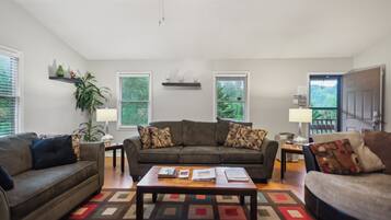 TV connectée, cheminée, lecteur de DVD, livres