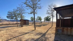 Ein ländliches Anwesen mit einem Holunderbauernhaus, einem kleinen Schuppen und einer eingezäunten Weide.