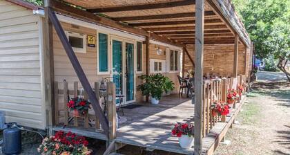 Agricampeggio Princess - (5)