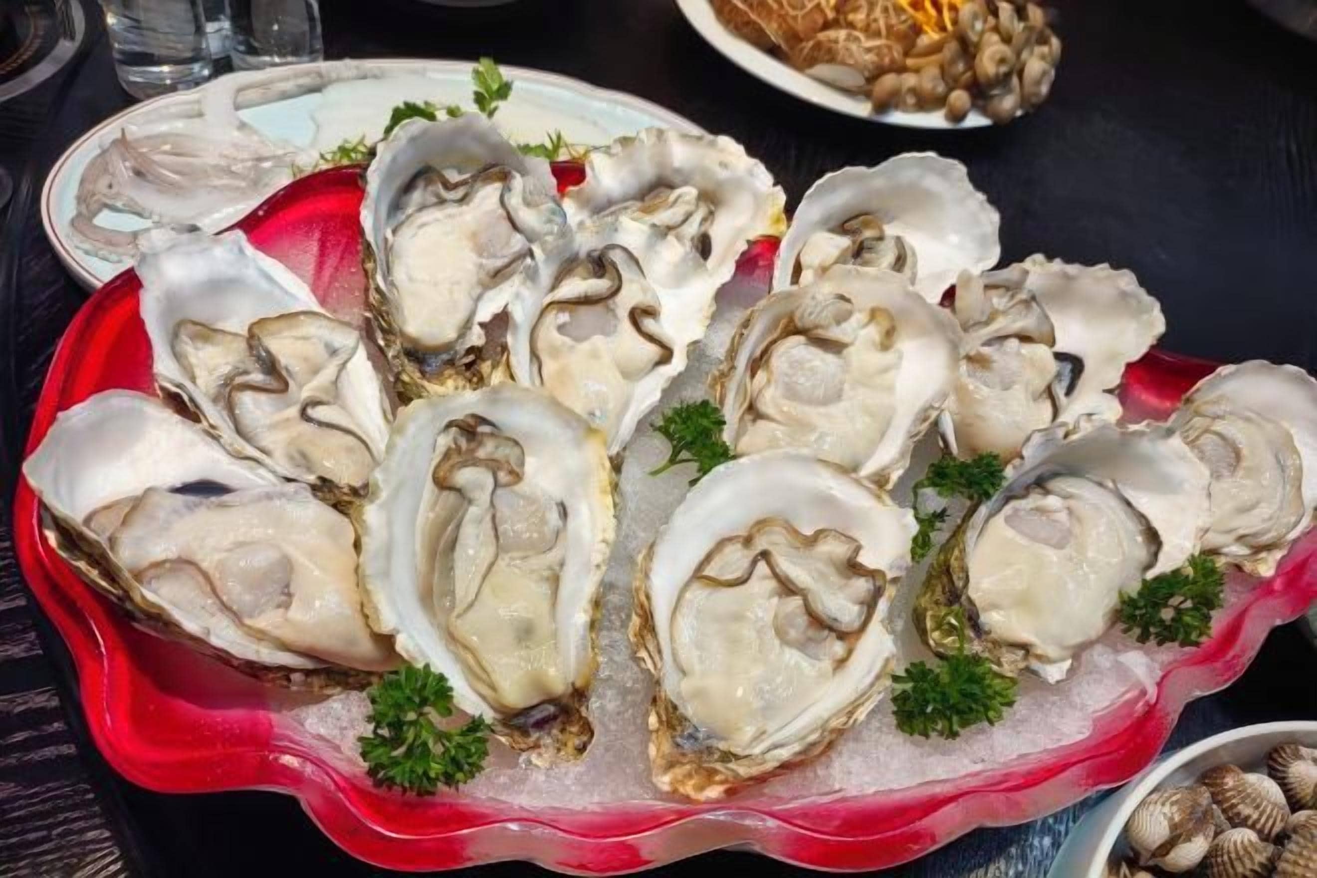 식사 및 음료