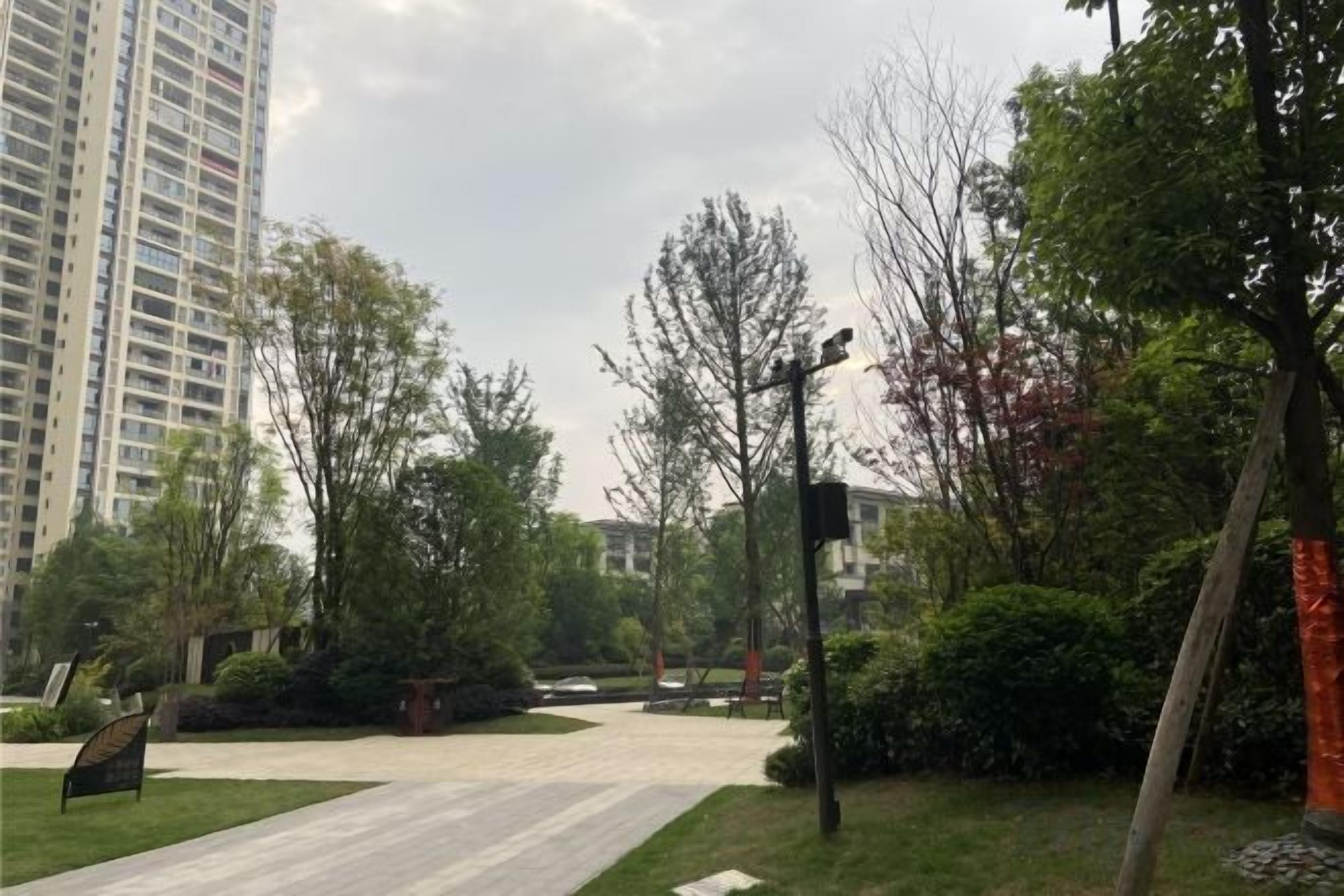 Zona residencial con un edificio alto, un sendero pavimentado y diversas plantas y arbustos.