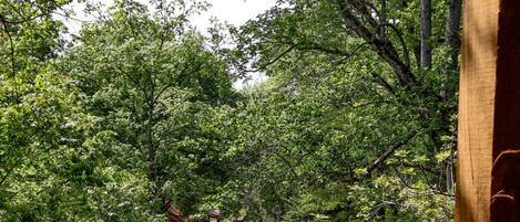 A view from a balcony overlooking a well-maintained garden with a pathway and trees.
