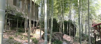 Xing'an Mao'er Mountain Bamboo Xiyuan