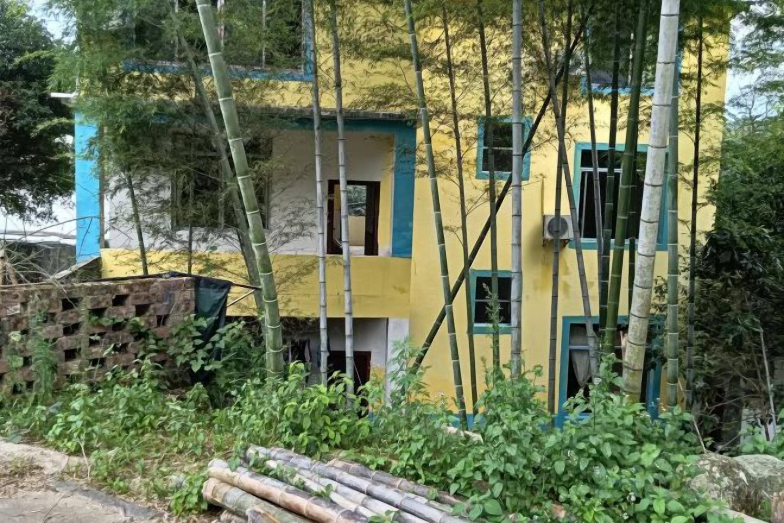 A multi-story building with a yellow facade and blue trim, surrounded by greenery and bamboo.