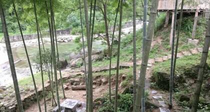 Xing'an Mao'er Mountain Bamboo Xiyuan