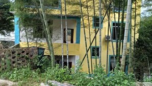 A yellow building with green trim and multiple windows, surrounded by bamboo and greenery. - Xing'an Mao'er Mountain Bamboo Xiyuan (Xing'an County)