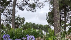 A garden with various plants and trees, a gravel path, and a body of water in the background.