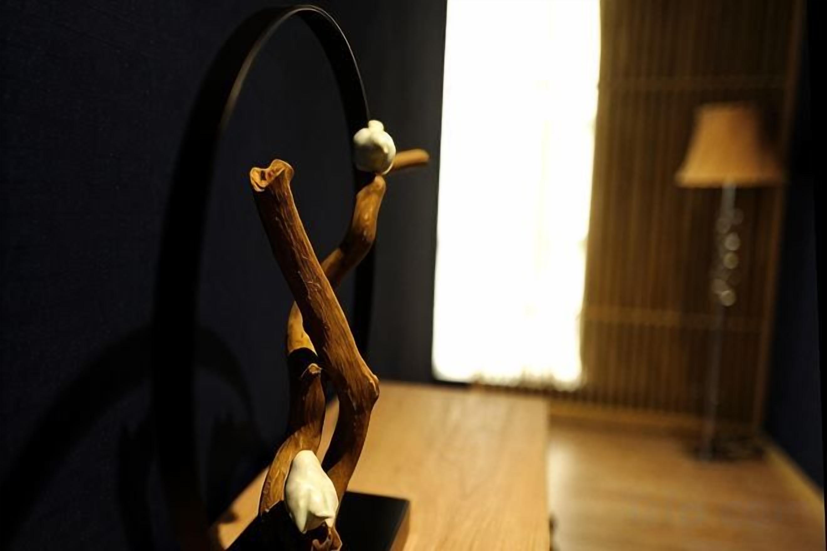 A room with a wooden floor, a lamp, and a wall-mounted object.