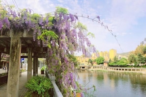 รูปภาพที่ไม่ได้จัดประเภท, 5 จาก 115, ปุ่ม