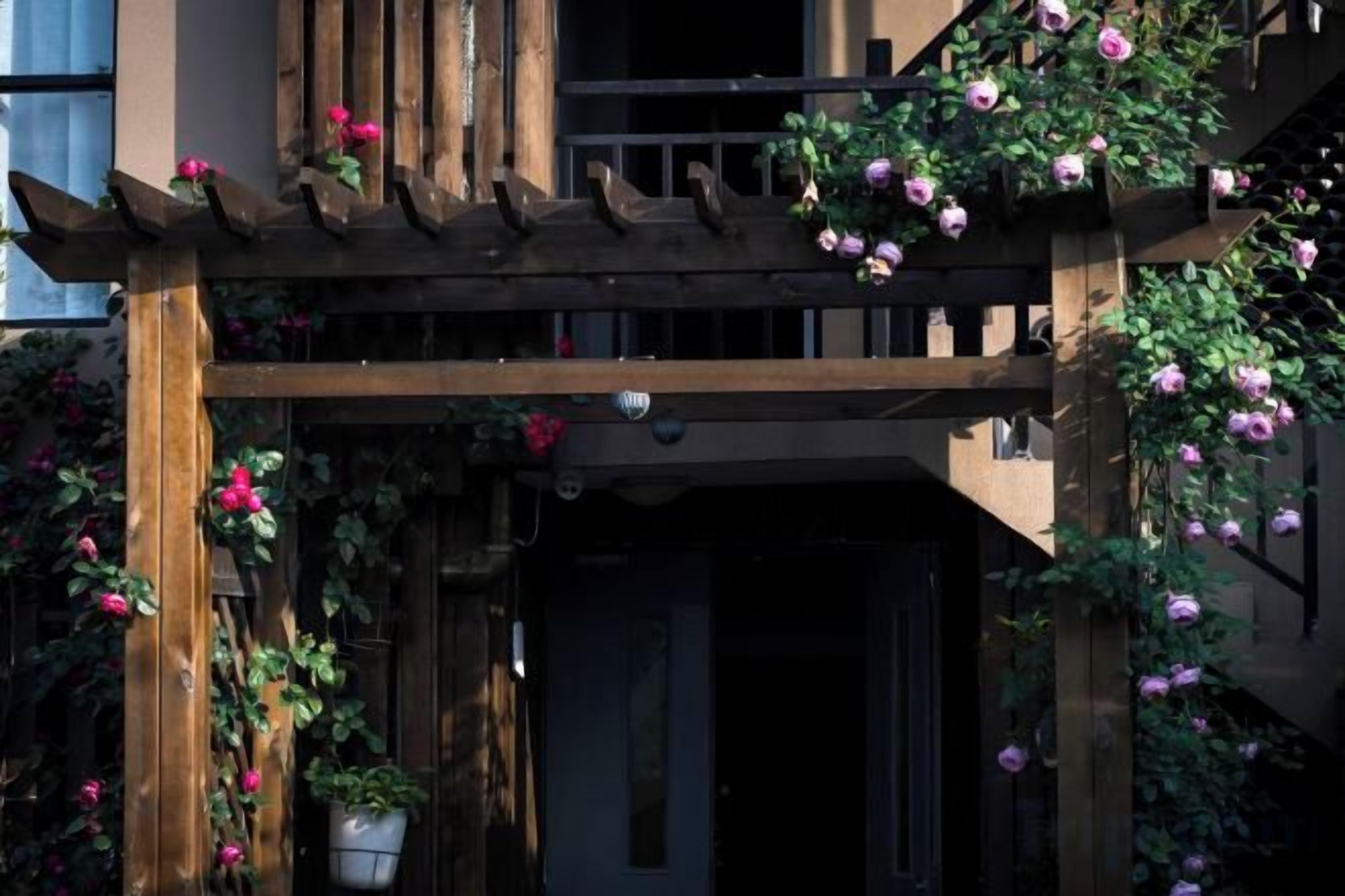 A wooden pergola with climbing roses and a potted plant.