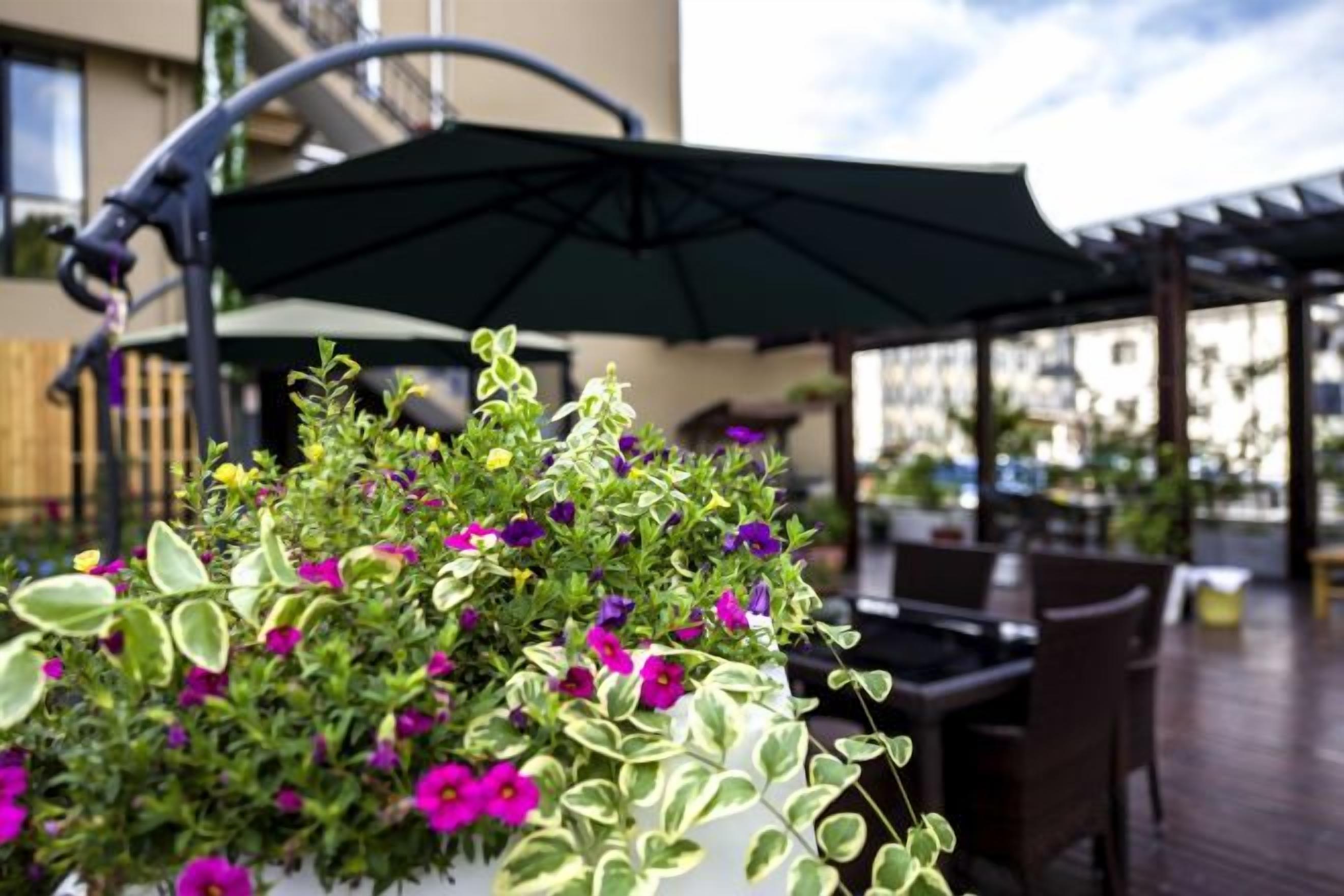 A potted plant with variegated leaves and purple flowers on an outdoor patio with a pergola and umbrella.