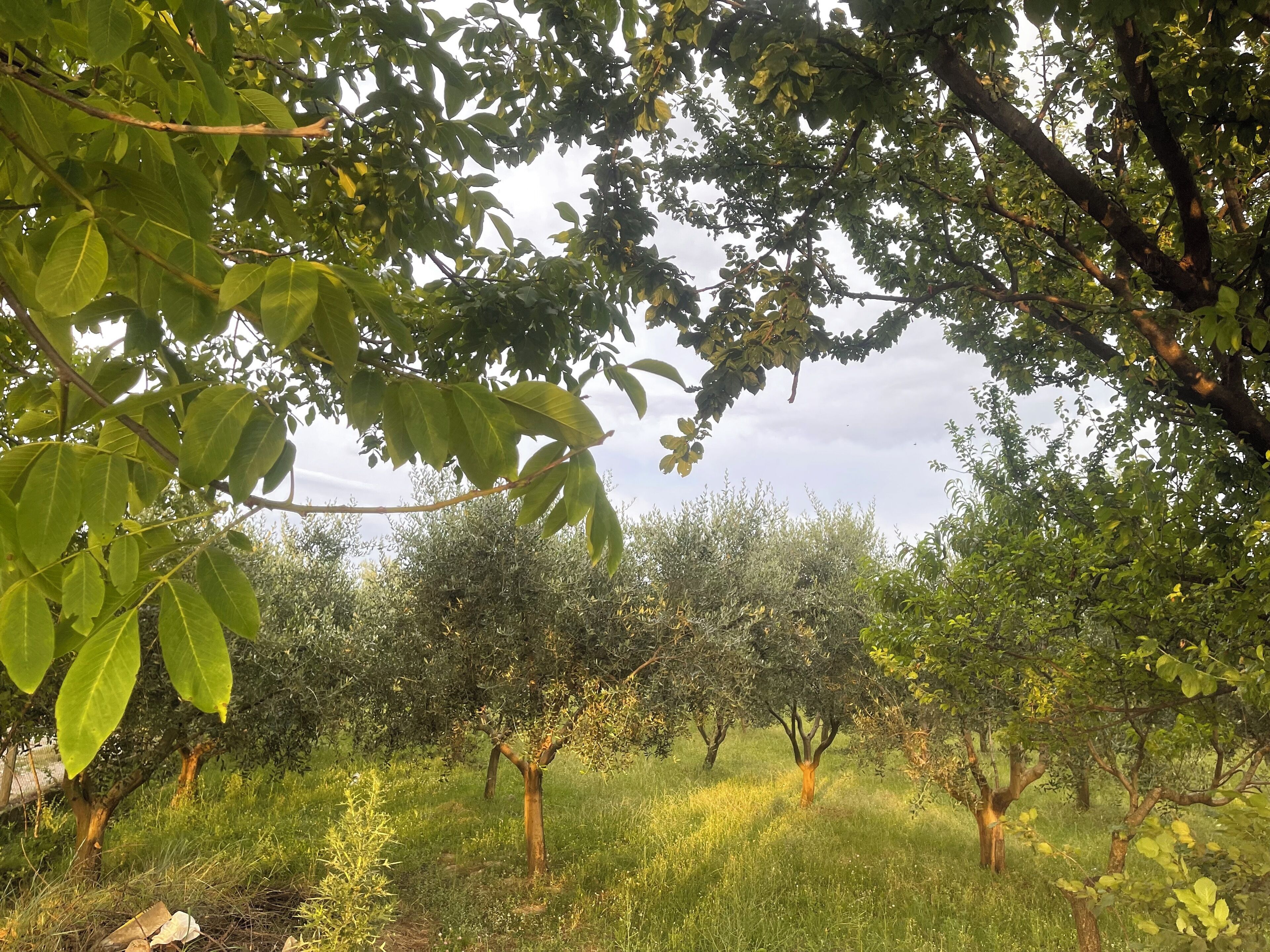 3 多间卧室、熨斗/熨衣板、WiFi、床单