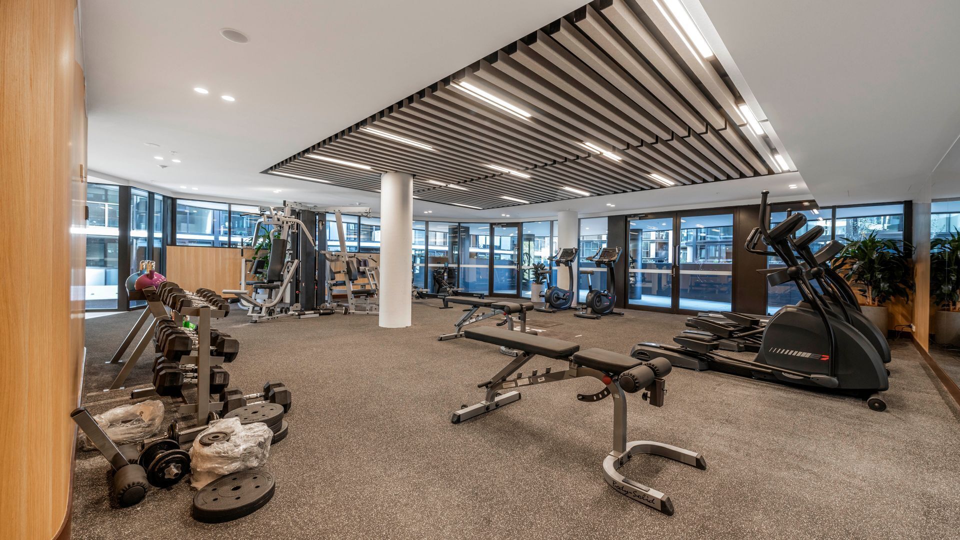 A modern gym with various exercise equipment, large windows, and a clean, spacious layout.