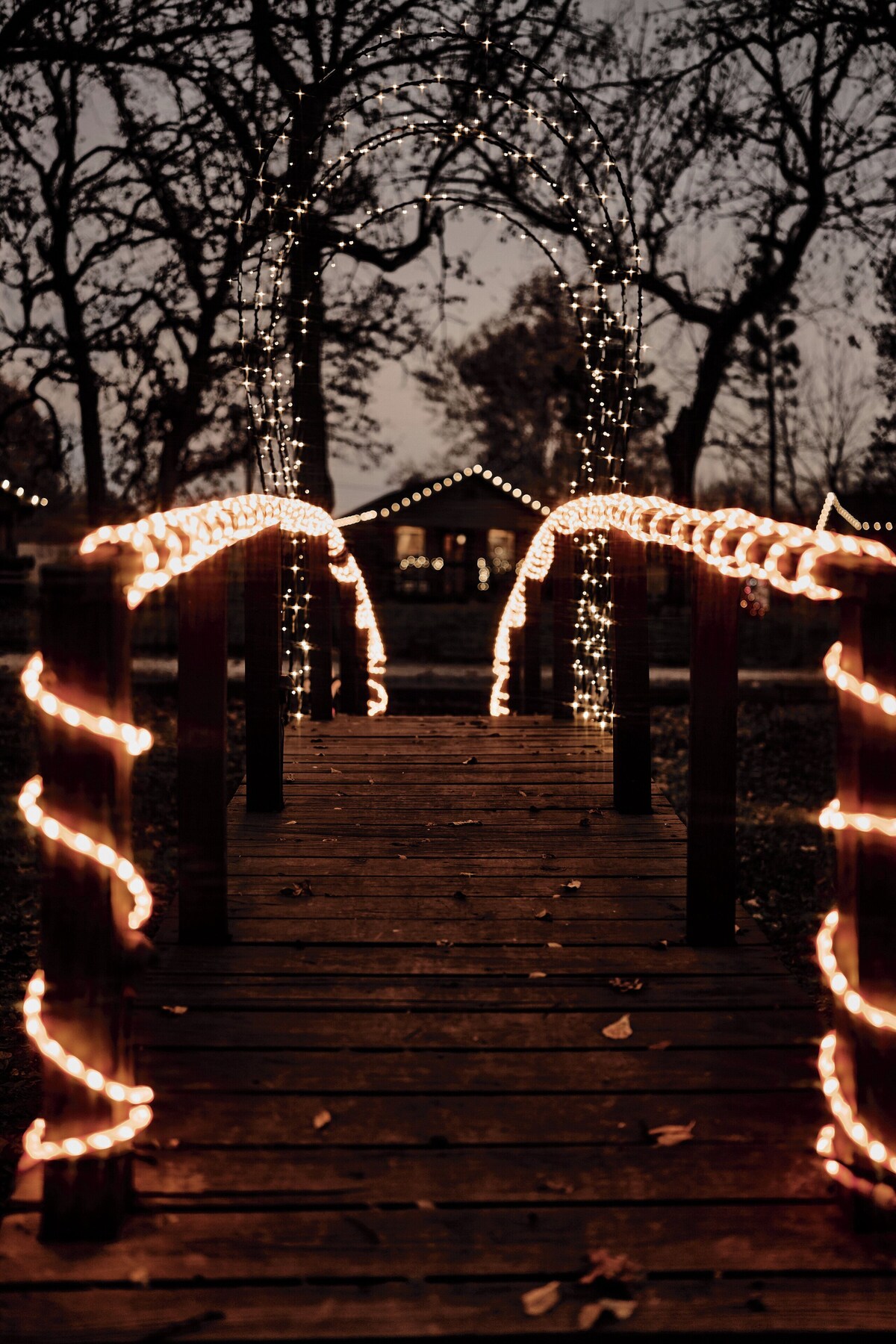 Værtens profilbillede