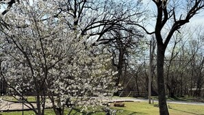A park with cherry blossom trees, a lamppost, and a grassy area. - Knots Landing - A romantic getaway w/ hot tub (Afton)