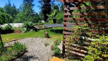 A garden with a wooden pergola, a trampoline, and a gravel path.