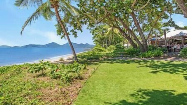 Une plage tropicale avec une pelouse bien entretenue, des palmiers et une vue sur l’océan.