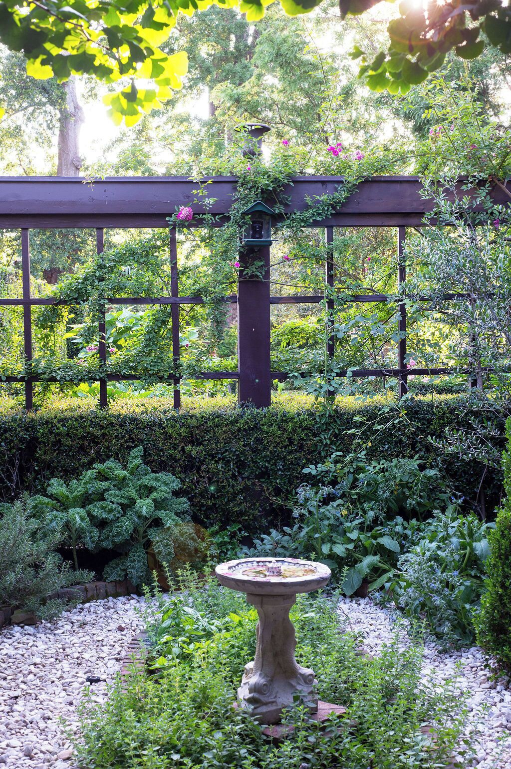 A garden with a pergola, a bird feeder, and a bird bath.