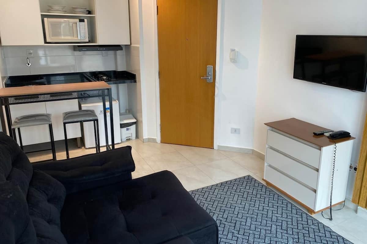 A compact living space with a kitchenette, a sofa, a TV, and a small cabinet.