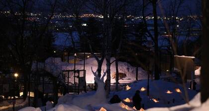 ASAHIKAWA Japanese very big house w/ wifi and parking