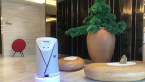 A modern interior with a white device on a wooden surface, a large potted plant, and a red chair. - JI Hotel (Beijing South Railway Station Jiaomen East Subway Station) (Beijing)