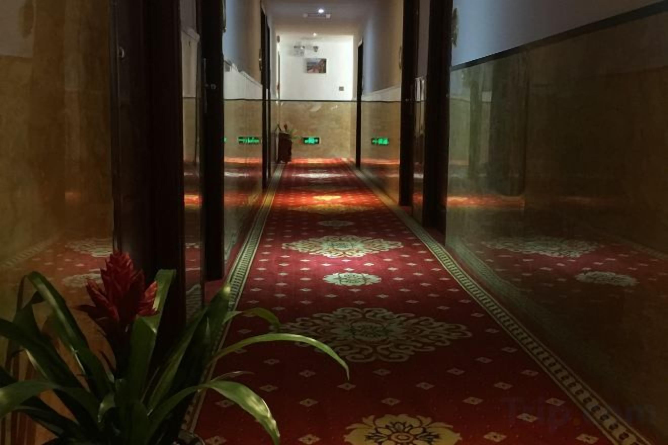 A corridor with patterned carpet, glass doors, and a plant.
