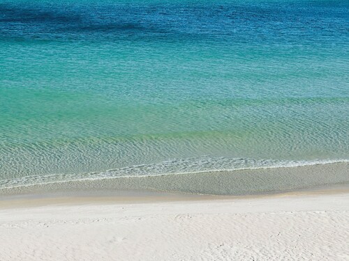 Newly renovated studio on the beach # 304