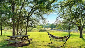 Une table de pique-nique et un hamac dans un espace verdoyant et arboré.