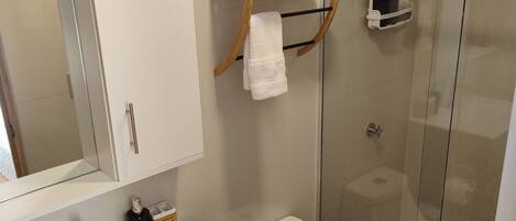 A modern bathroom with a glass-enclosed shower, a white sink with a wooden vanity, and a toilet.