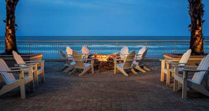 Beach Tropical Oasis