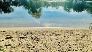 A calm lake with a sandy shore, surrounded by trees and houses. - Beautiful Waterfront Cottage with Hot Tub in South Muskoka  (Severn Bridge)