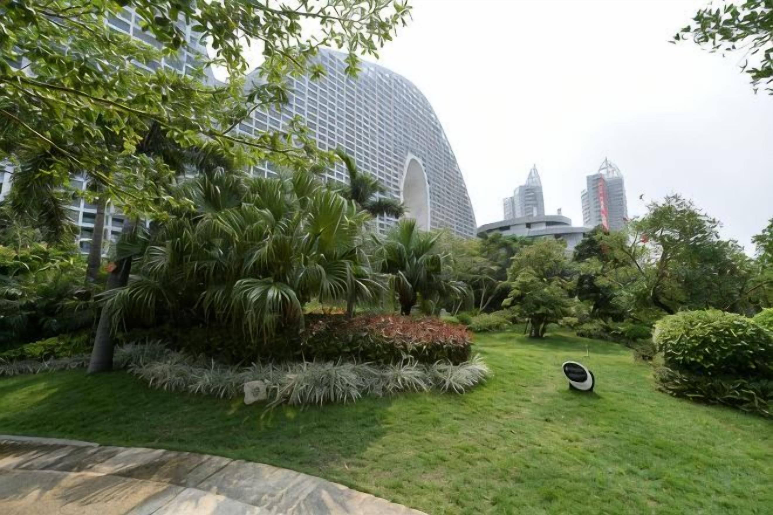 A landscaped garden with palm trees and shrubs, a curved pathway, and modern buildings in the background.