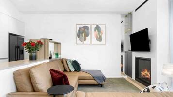 Smart TV, fireplace, books