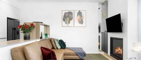 Smart TV, fireplace, books