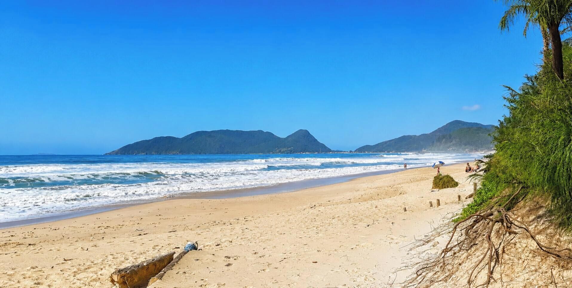 在海滩、白沙
