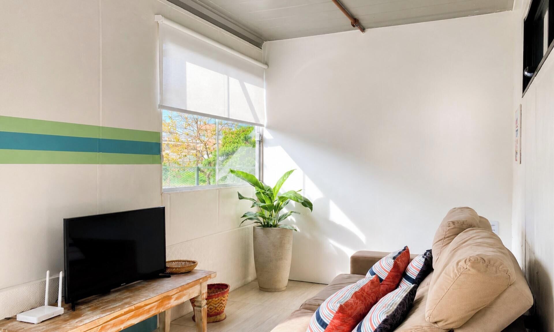 A modern living room with a flat-screen TV, a large potted plant, and a sofa with striped cushions.