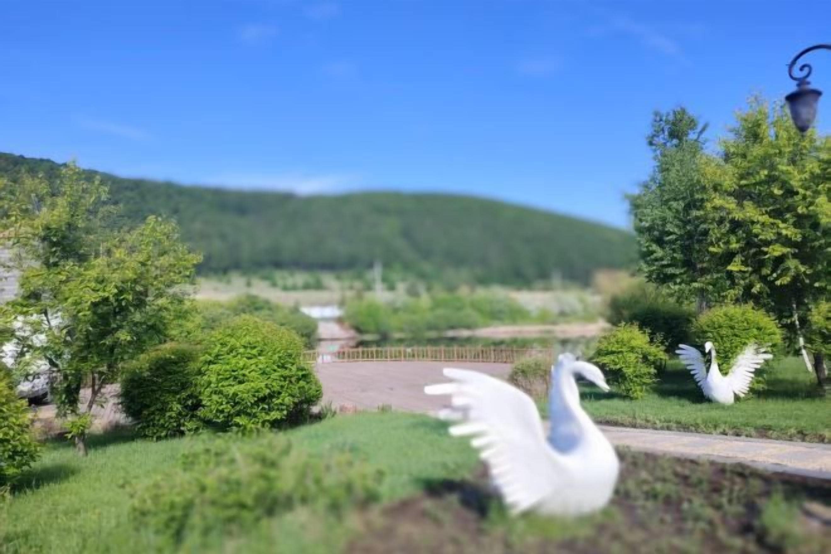 A park with swan statues and a clear view of a distant hill.