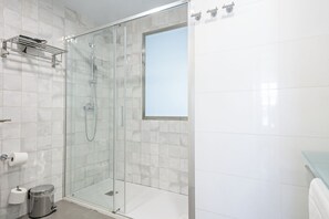 Dusche, Haartrockner, Handtücher