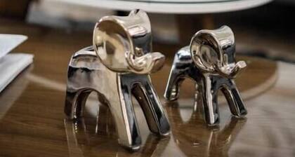 Villa de parras residential elegant