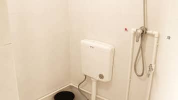 A bathroom with a toilet, a bidet, and a shower.
