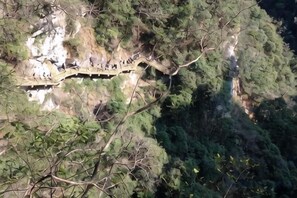Un puente con gente caminando, rodeado de un bosque frondoso.