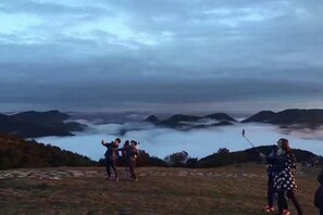 Miscellaneous - Yongtai Tengyun Farm (Yongtai)