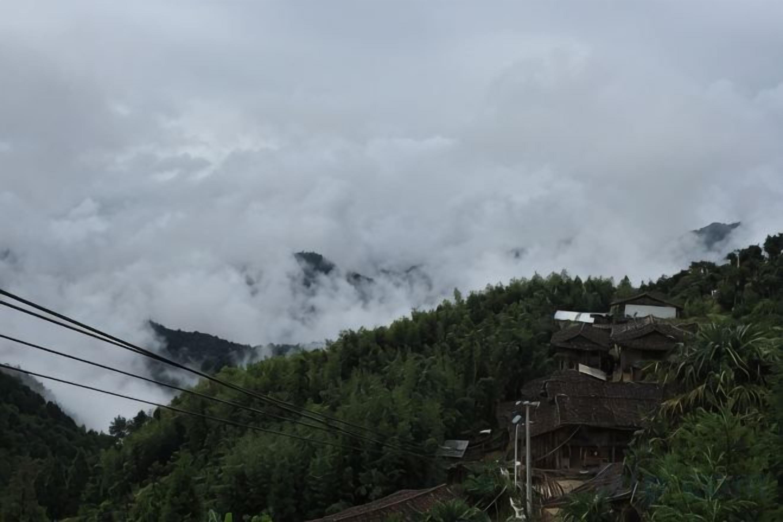 منوع