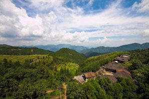Unclassified image, 4 of 35, button - Yongtai Tengyun Farm (Yongtai)